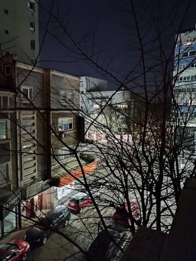 Dorobanti Apartment Бухарест Экстерьер фото